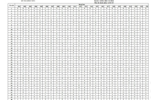 Đáp án môn Lịch sử kỳ thi THPT Quốc gia 2018 đầy đủ 24 mã đề