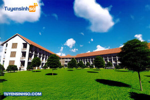Điểm chuẩn Phân hiệu Đại học Cần Thơ tại Hậu Giang
