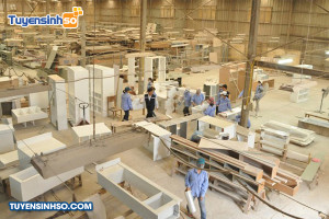 Ngành Công nghệ chế biến lâm sản