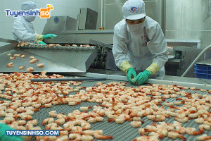 Ngành Công nghệ chế biến thuỷ sản