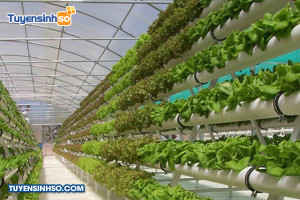 Ngành Công nghệ rau hoa quả và cảnh quan